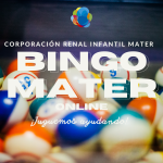 Bingo mater online