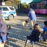 Servicio Melinka demostración Canina Repollal