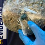 Evidencia BRIANCO – encomienda 3.6 kg de cocaína Coyhaique